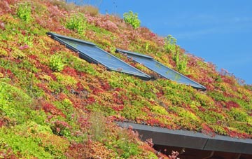 Priory Hall living roof systems